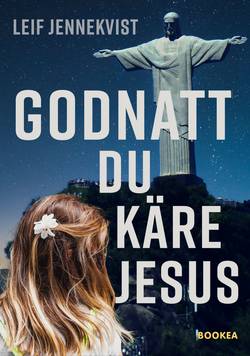 Godnatt du käre Jesus : kriminalroman om ett brott