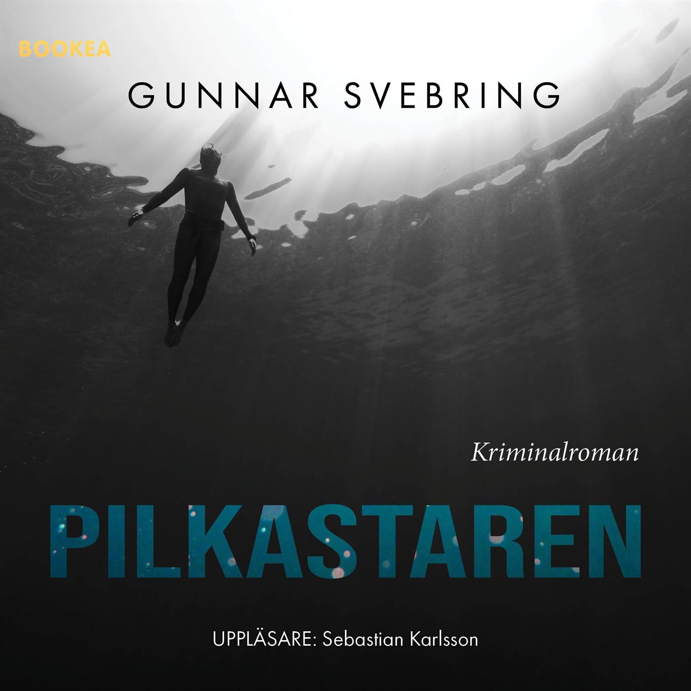 Pilkastaren