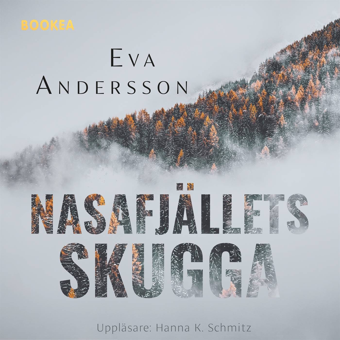 Nasafjällets skugga