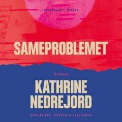 Sameproblemet