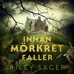 Innan mörkret faller
