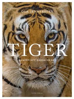 Tiger - Kampen att rädda en art