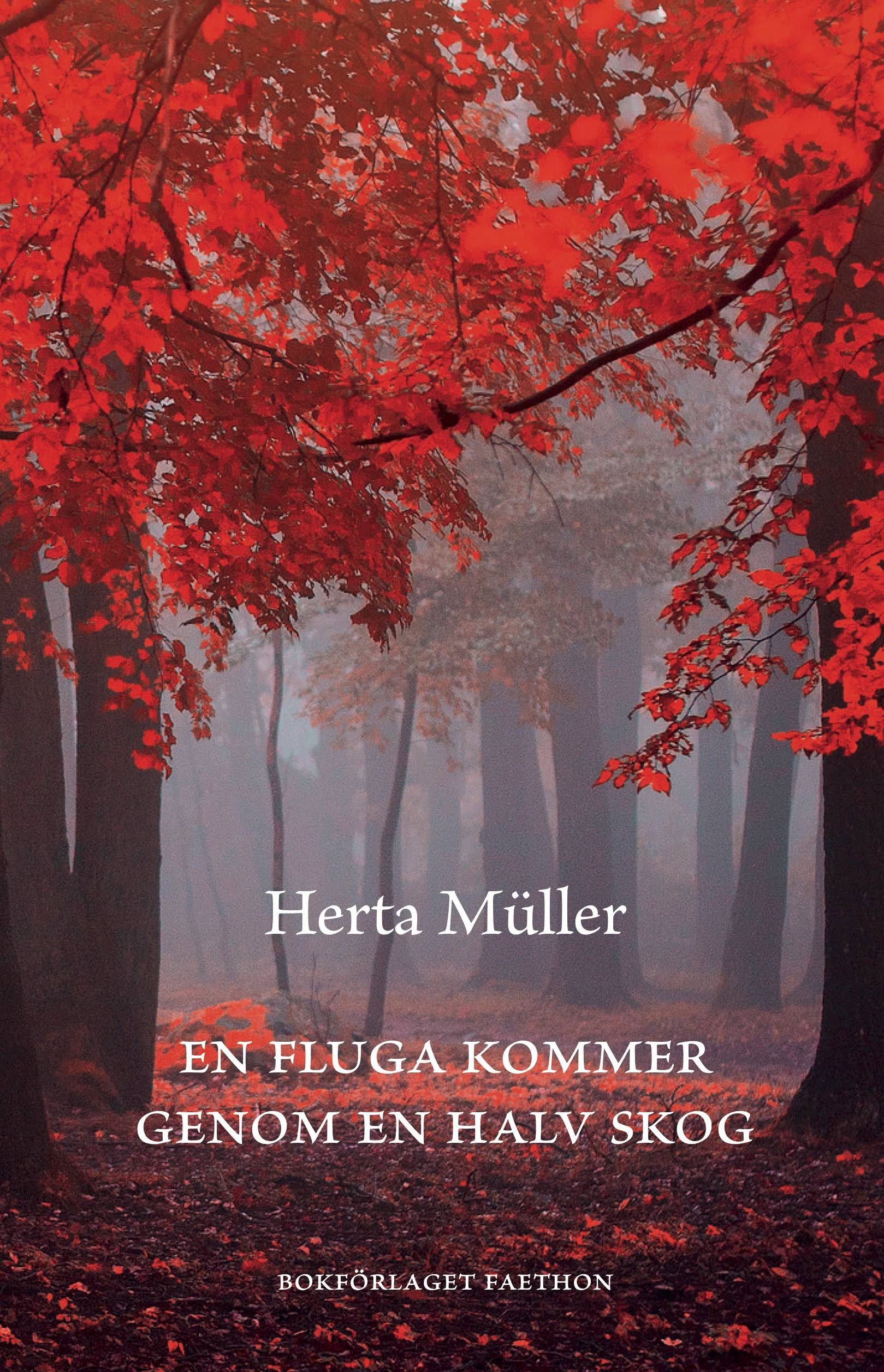 En fluga kommer genom en halv skog