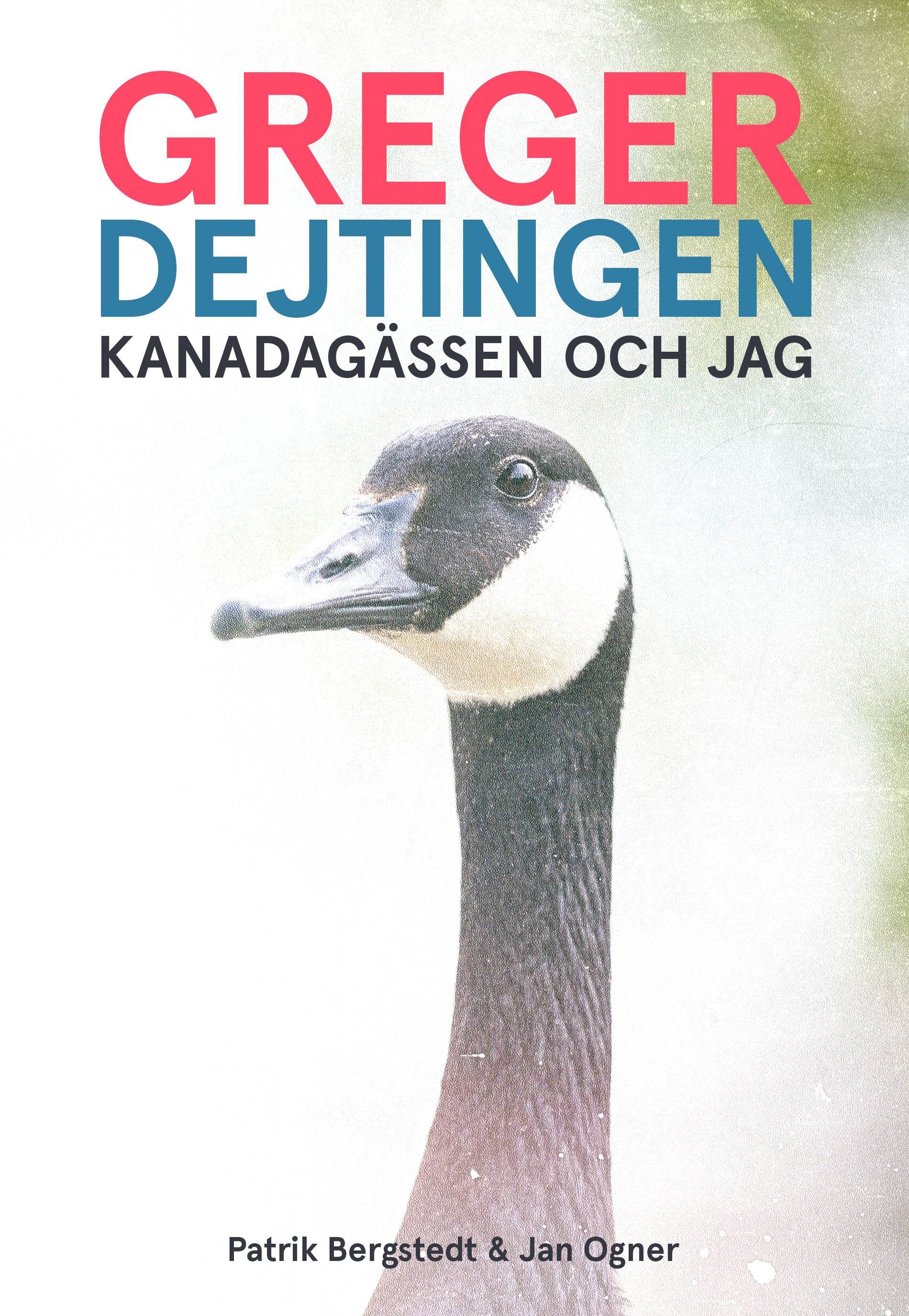 Greger, dejtingen, Kanadagässen och jag