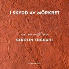 I skydd av mörkret