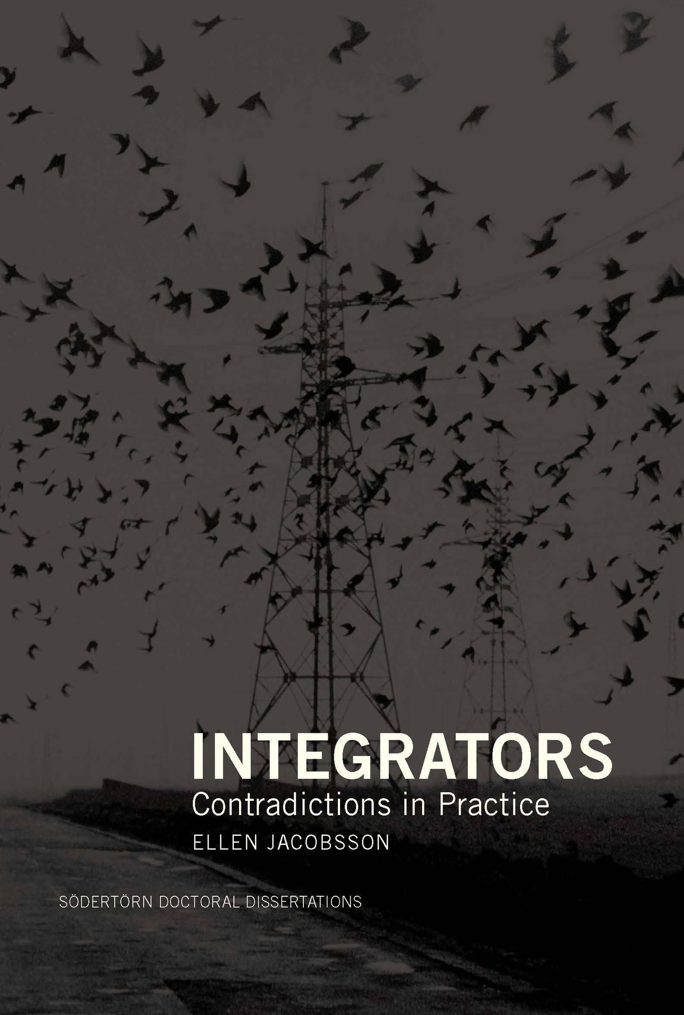 Integrators : Contradictions in Practice