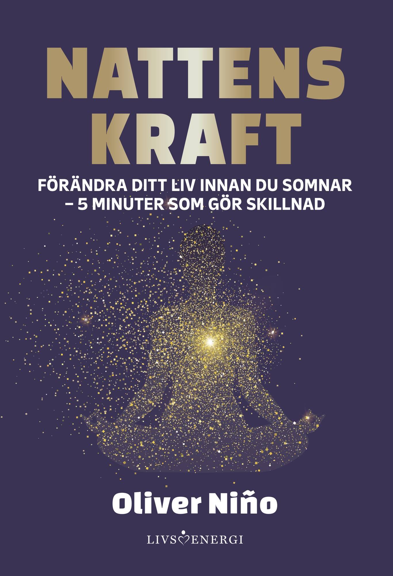 Nattens kraft : förändra ditt liv före du somnar - 5 minuter som gör skillnad