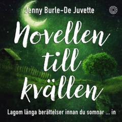 Novellen till kvällen : Lagom långa berättelser innan du somnar ... in