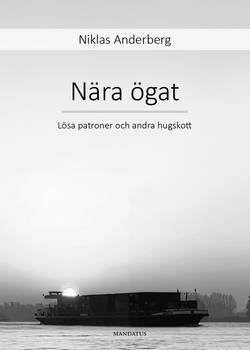 Nära ögat : lösa patroner och andra hugskott