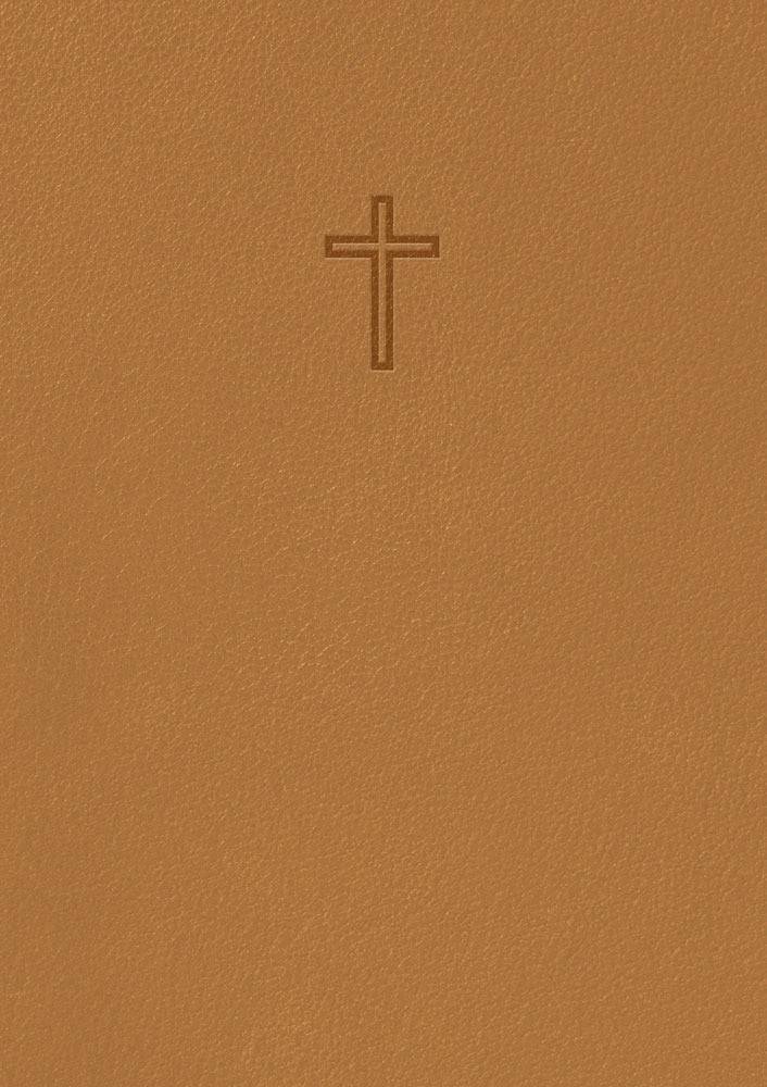 Svenska Folkbibeln 2015 : Slimline Bärnsten Konstskinn