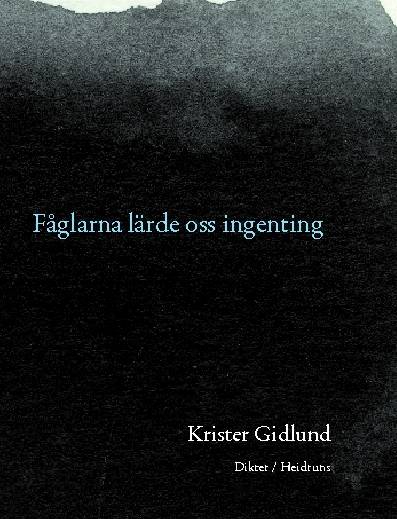 Fåglarna lärde oss ingenting