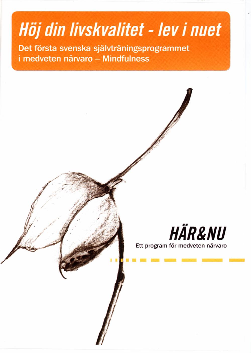 Här & Nu - Ett program för medveten närvaro/Mindfulness (CD + häfte)