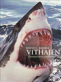 Vithajen : Carcharodon carcharias