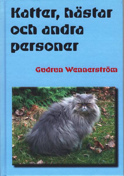 Katter, hästar och andra personer