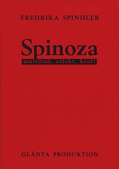 Spinoza : multitud, affekt, kraft