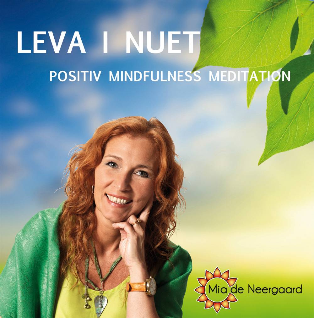 Leva i nuet : positiv mindfulness meditation