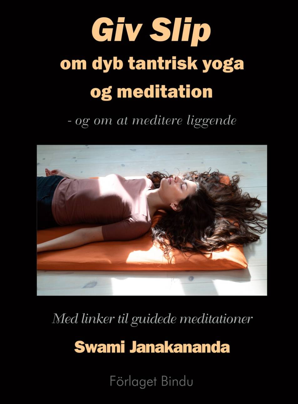 Giv slip : om dyb tantrisk yoga og meditation - og om at meditere liggende