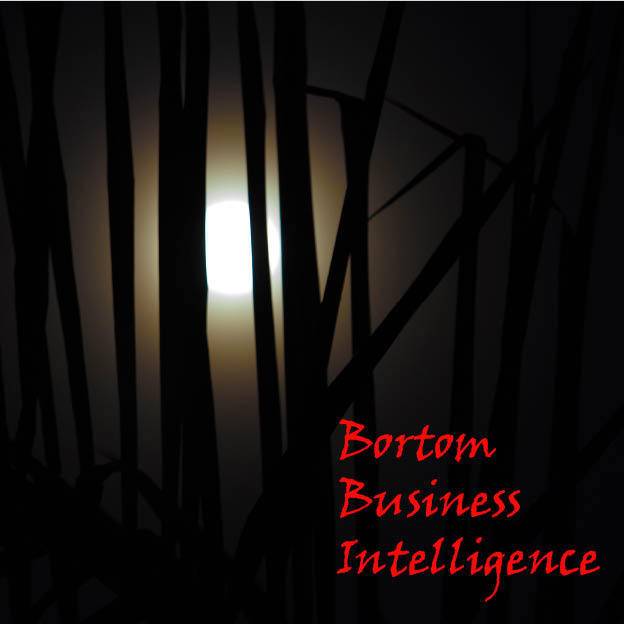 Bortom business intelligence