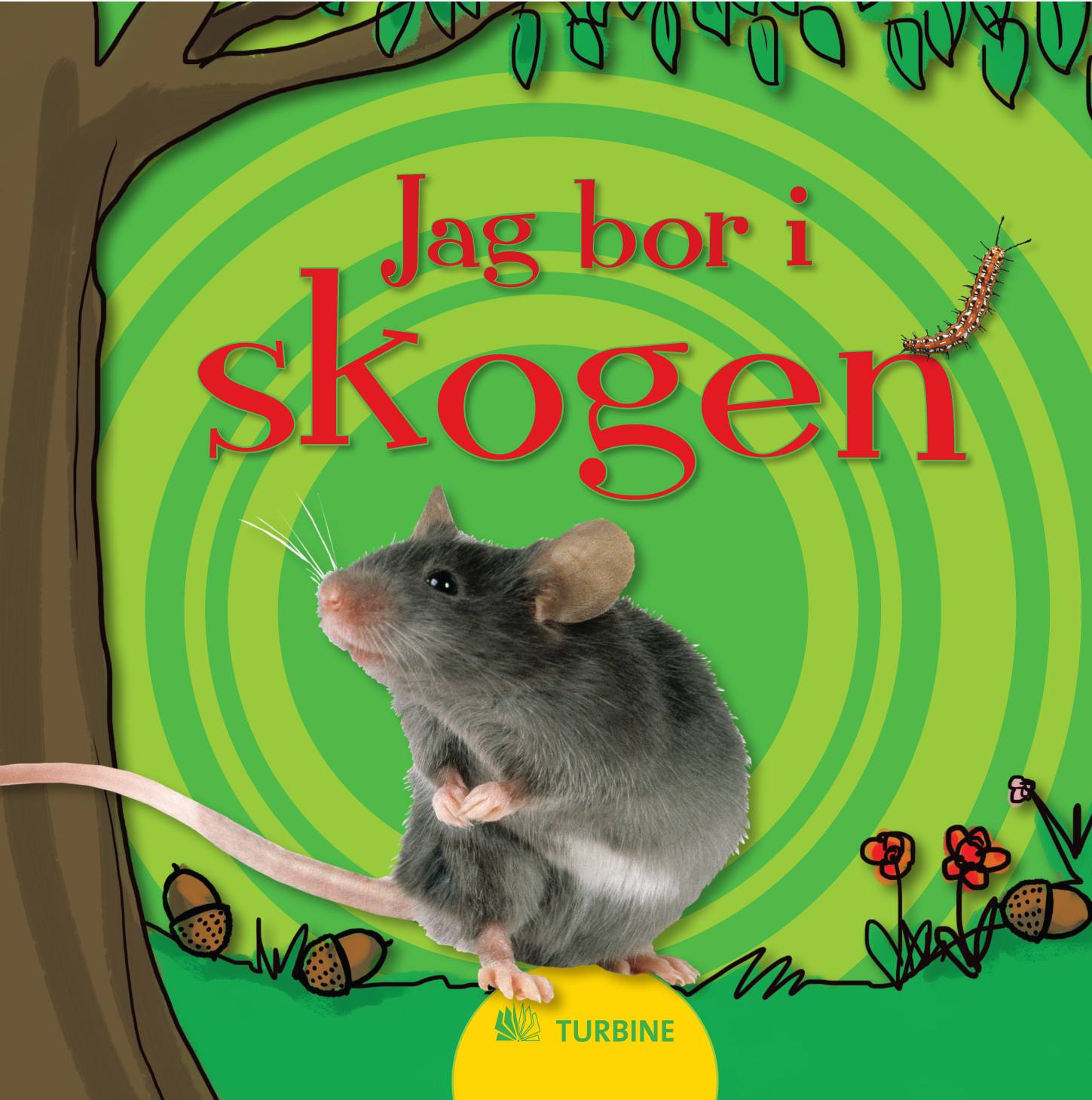 Jag bor i skogen