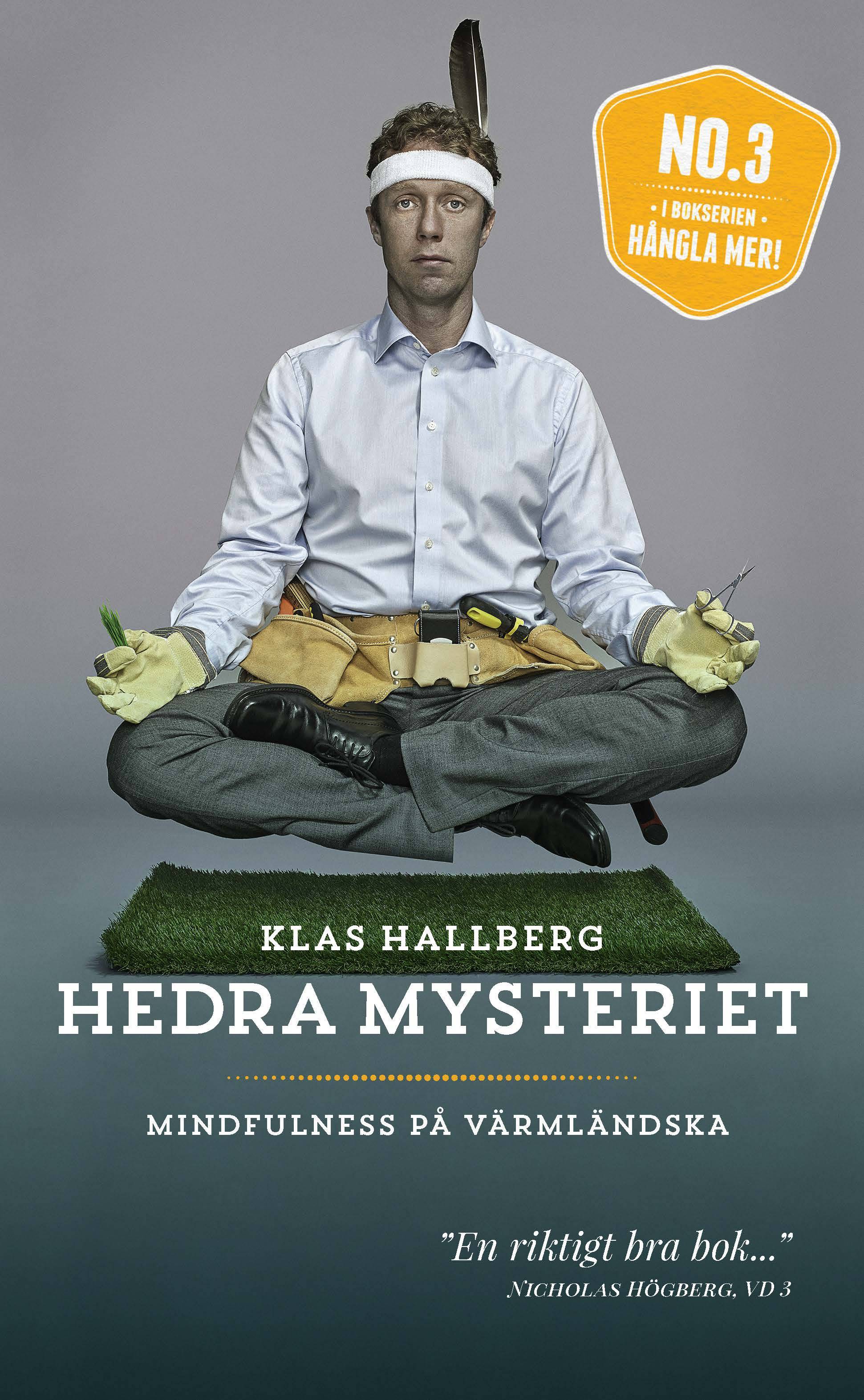 Hedra mysteriet : mindfulness på värmländska