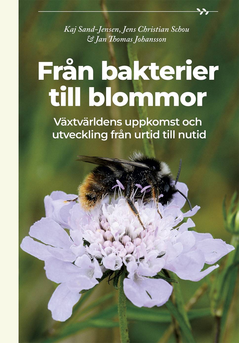 Från bakterier till blommor