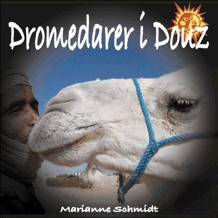 Dromedarer i Douz