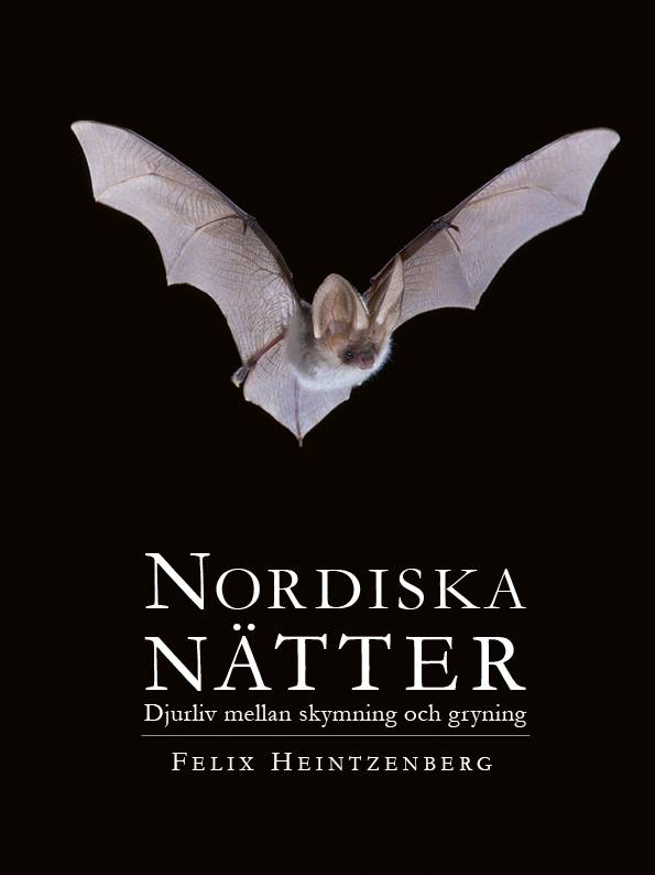 Nordiska Nätter : djurliv mellan skymning och gryning