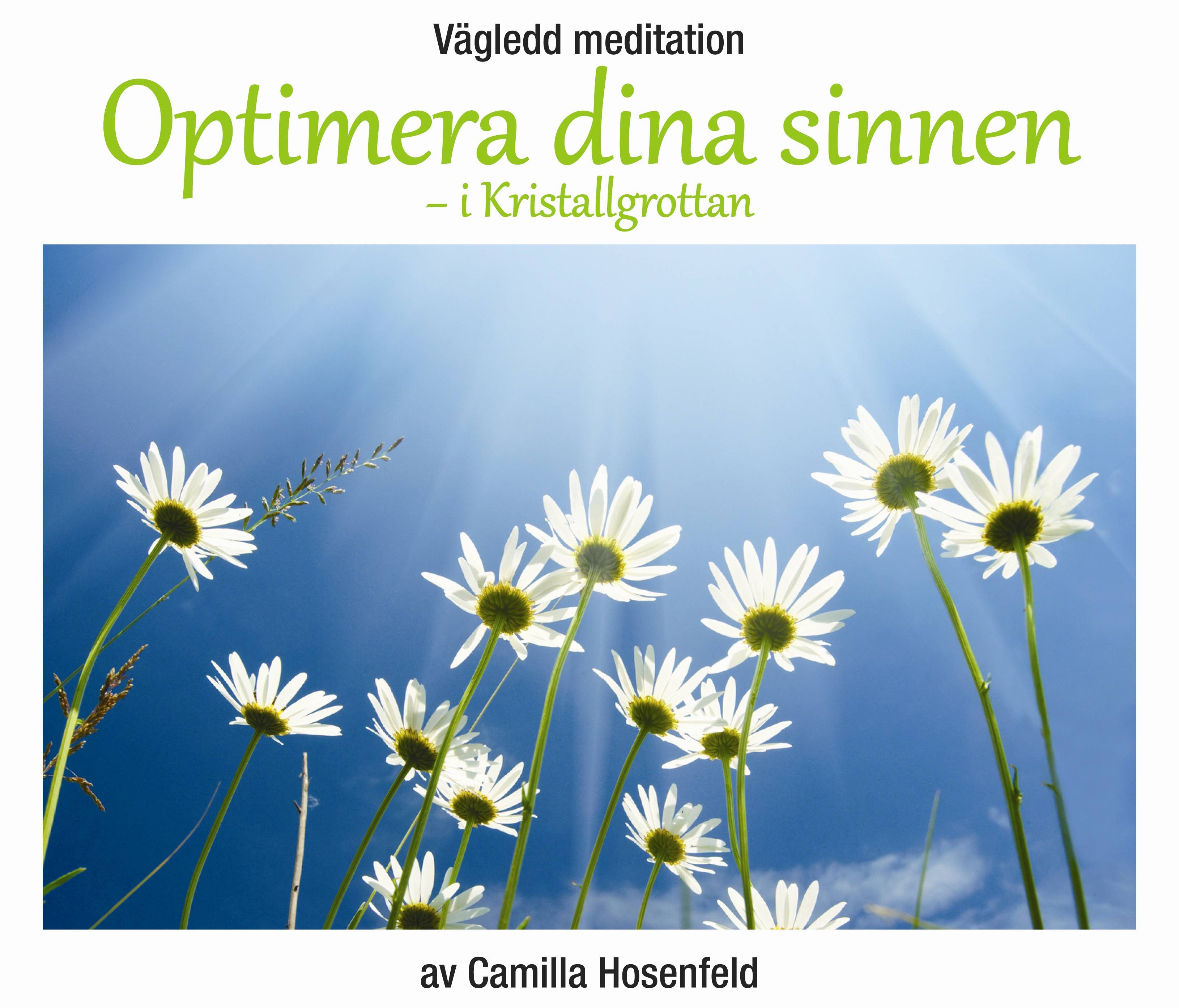 Vägledd meditation: Optimera dina sinnen