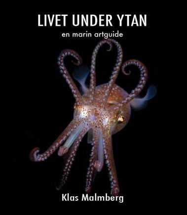Livet under ytan – en marin artguide