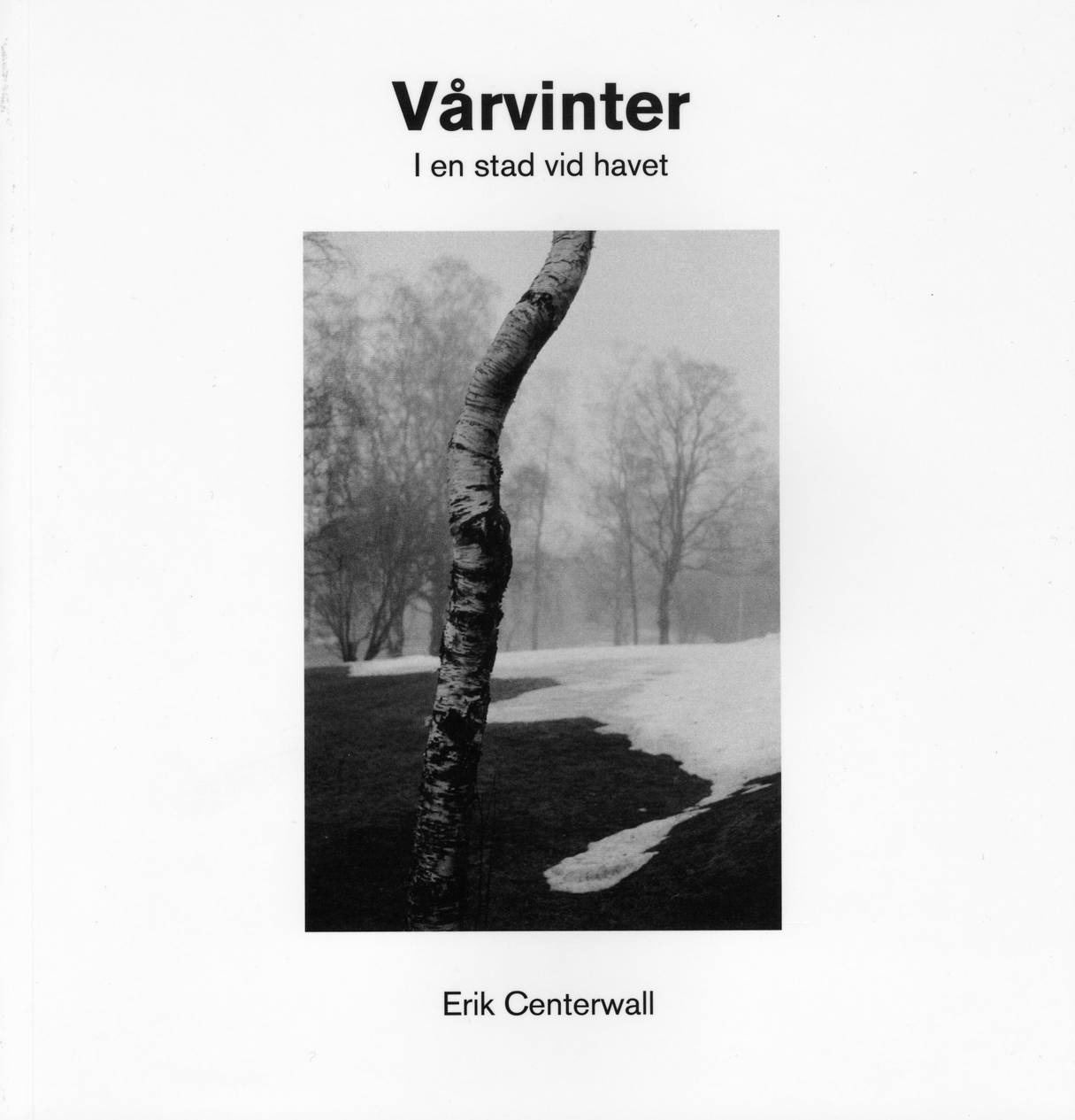 Vårvinter