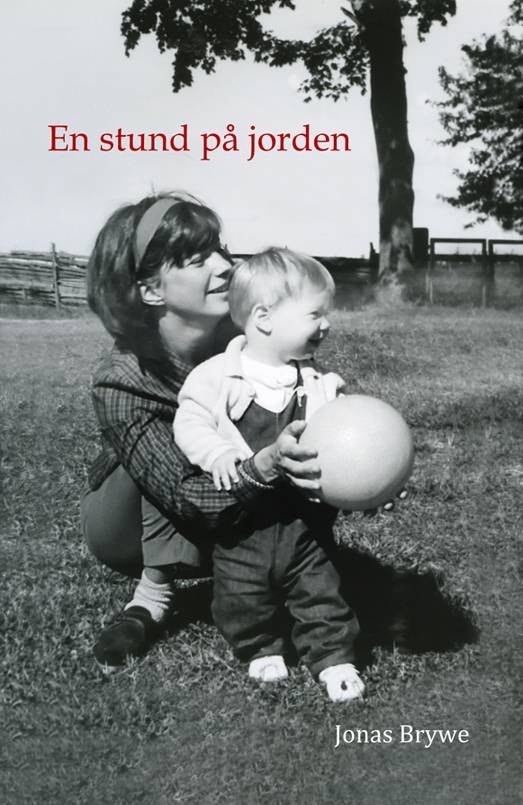 En stund på jorden