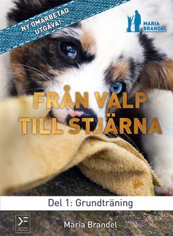 Från valp till stjärna. D. 1, Grundträning