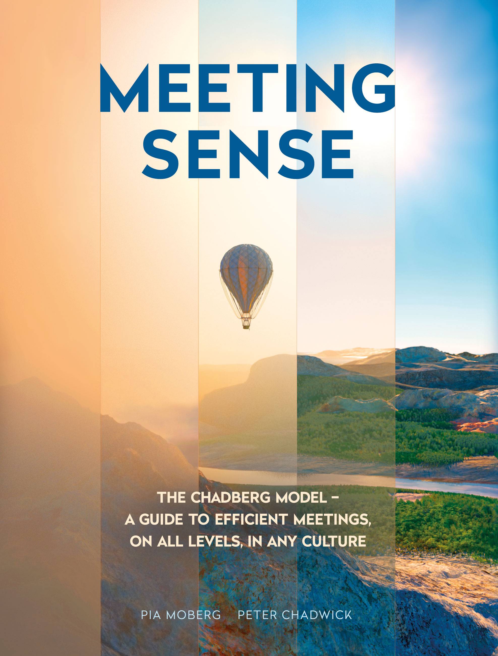 Meeting sense : the Chadberg Model - a guide to efficient meetings, on all levels, in any culture