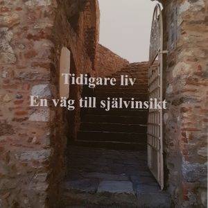 Tidigare liv : en väg till självinsikt