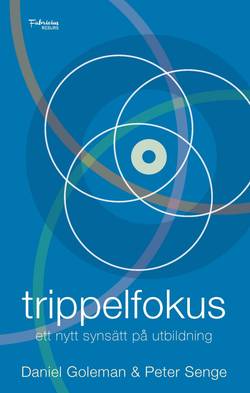 Trippelfokus : ett nytt synsätt på utbildning