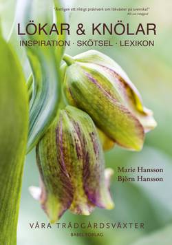 Lökar & knölar : inspiration, skötsel, lexikon