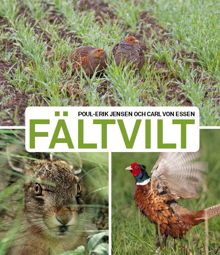 Fältvilt