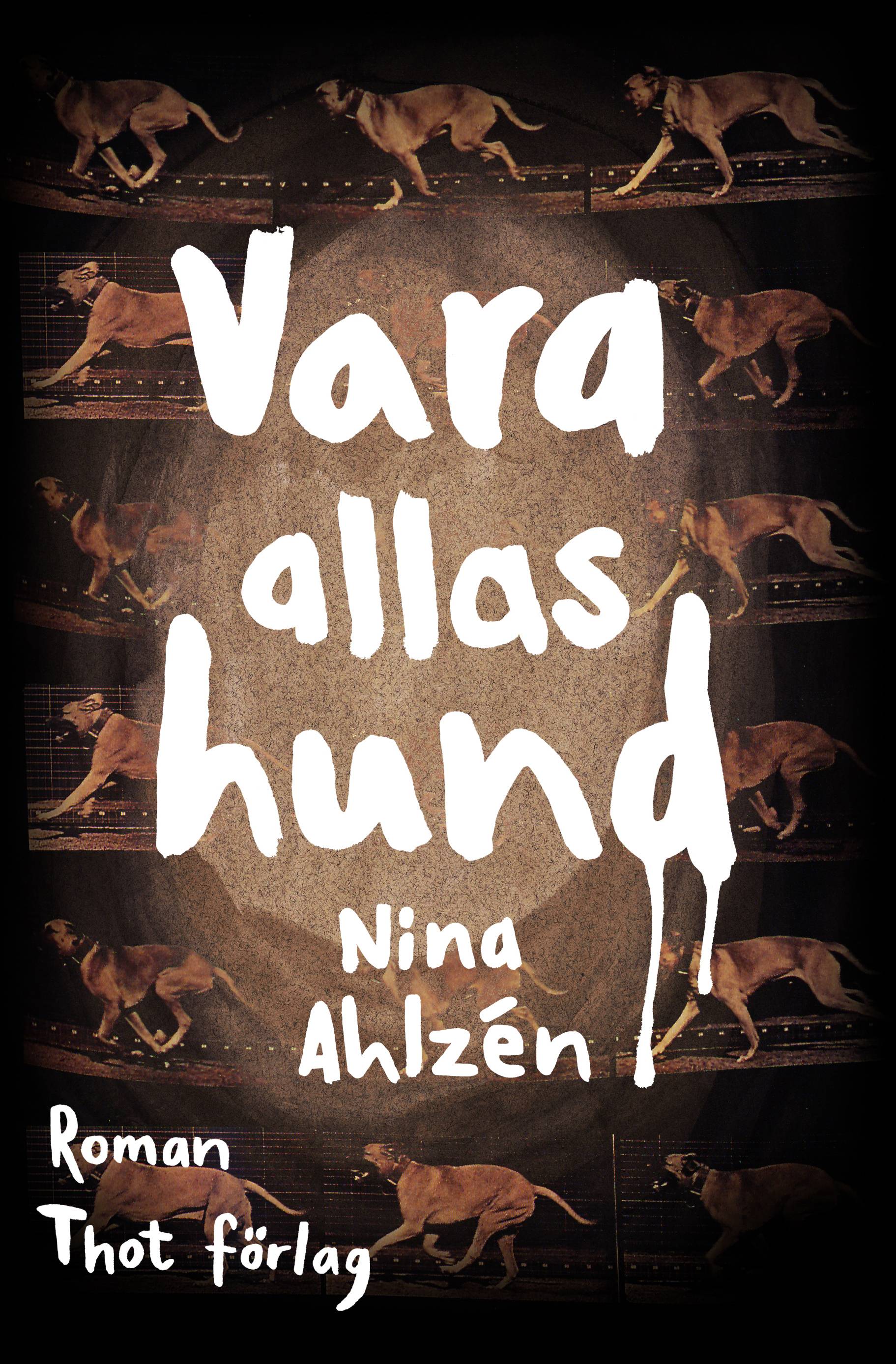 Vara allas hund