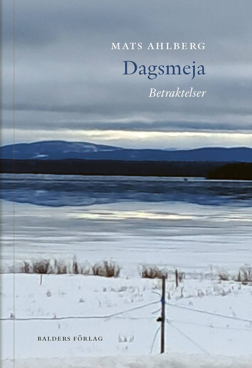 Dagsmeja