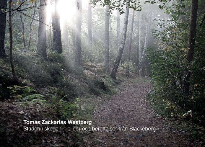 Staden i skogen : bilder och berättelser från Blackeberg