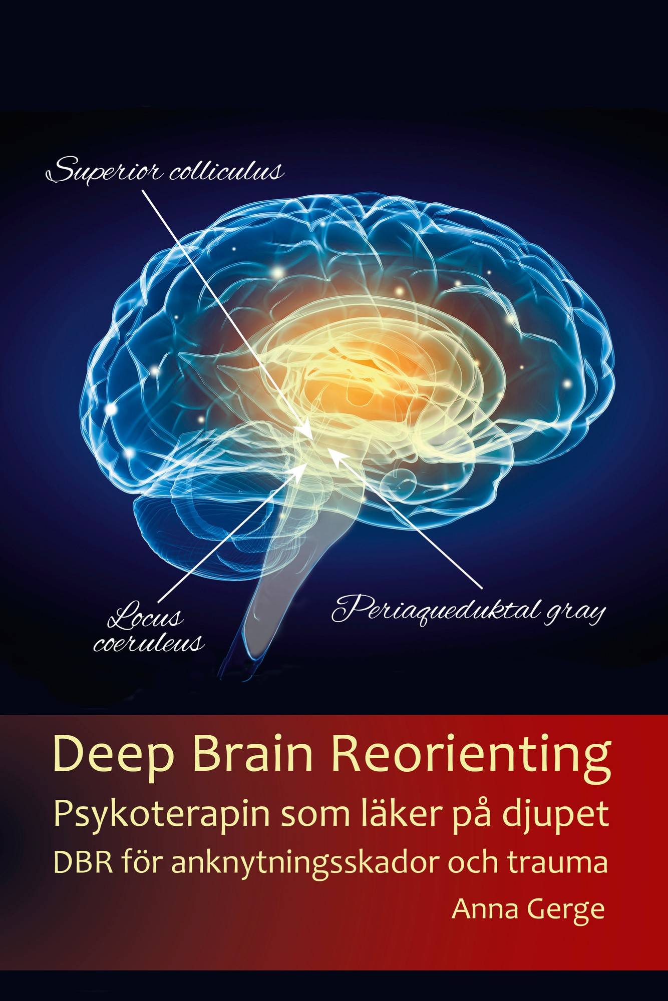 Deep Brain Reorienting:Psykoterapin som läker på djupet DBR för anknytningsskador och trauma