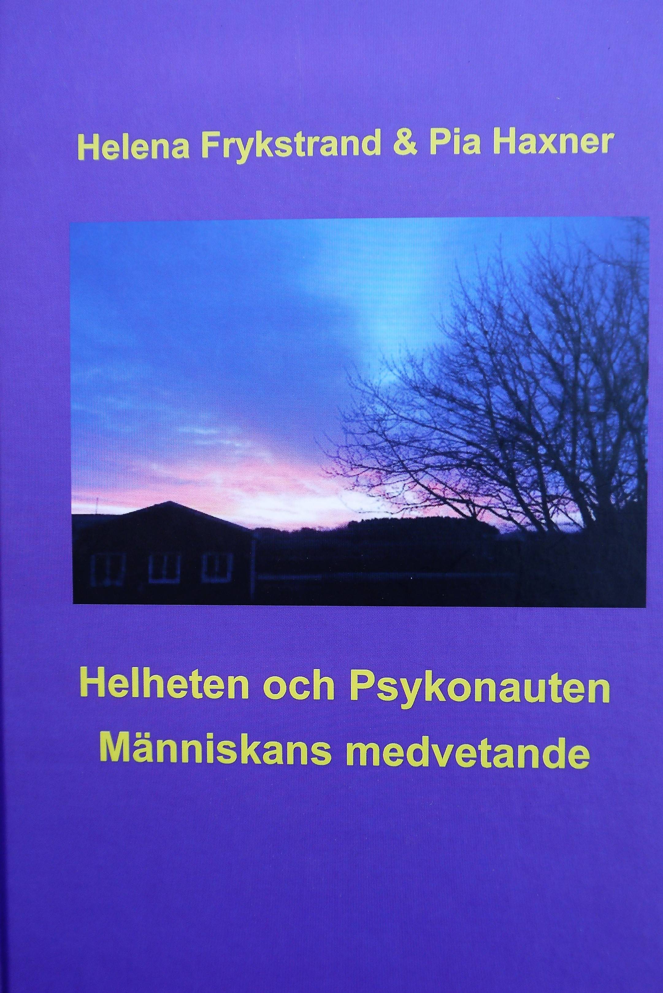 Helheten och Psykonauten : människans medvetande