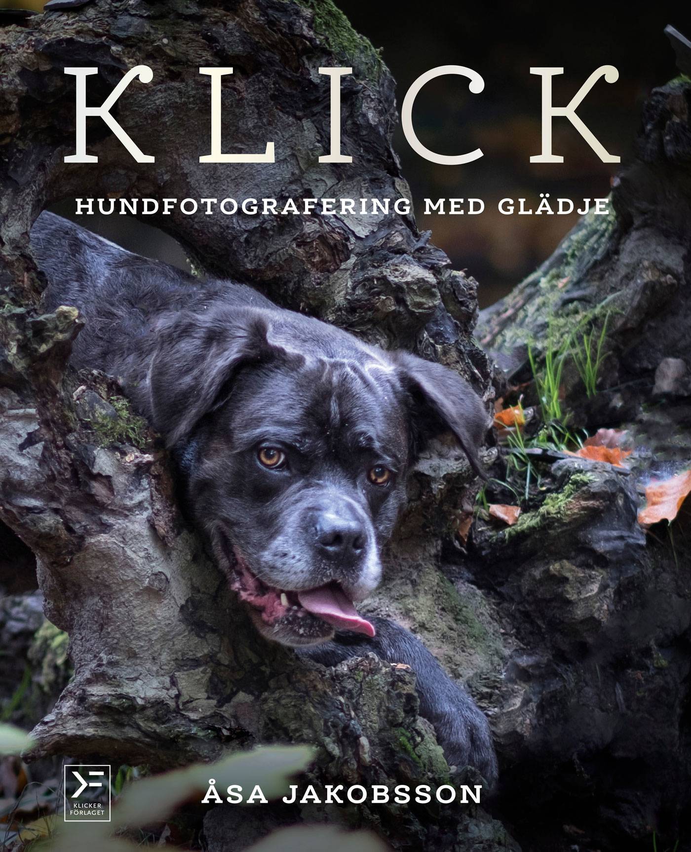 Klick : hundfotografering med glädje