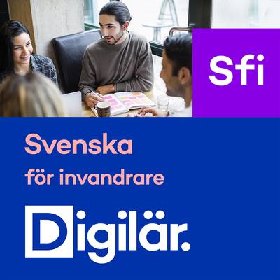 Gilla svenska sfi kurs B Digital 12 mån