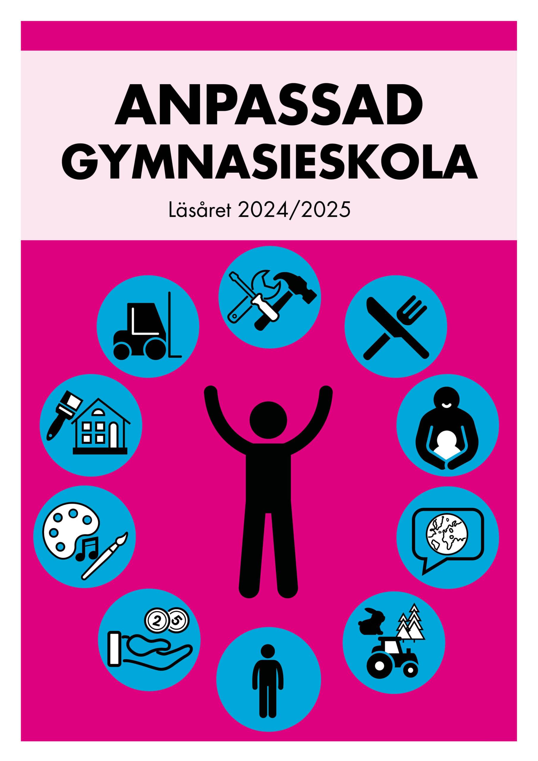 Anpassad gymnasieskola läsåret 2024/2025