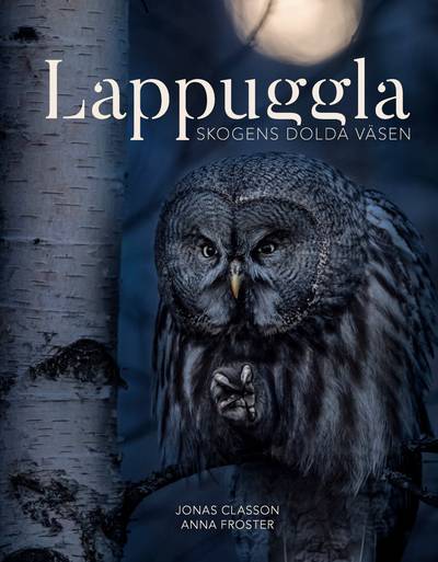 Lappuggla : skogens dolda väsen