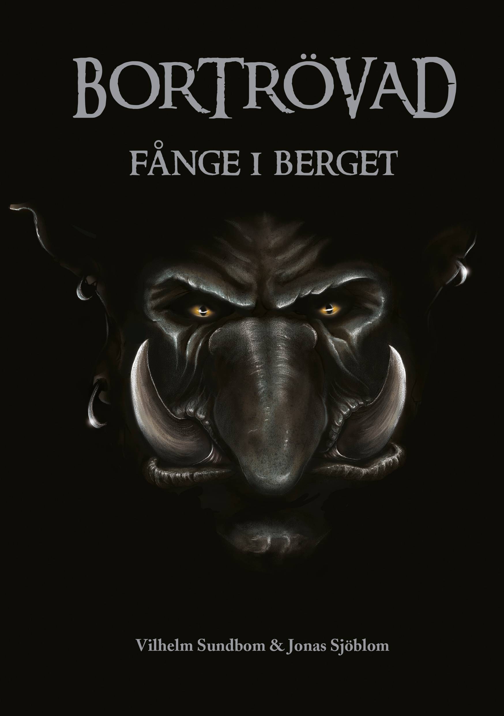 Fånge i berget