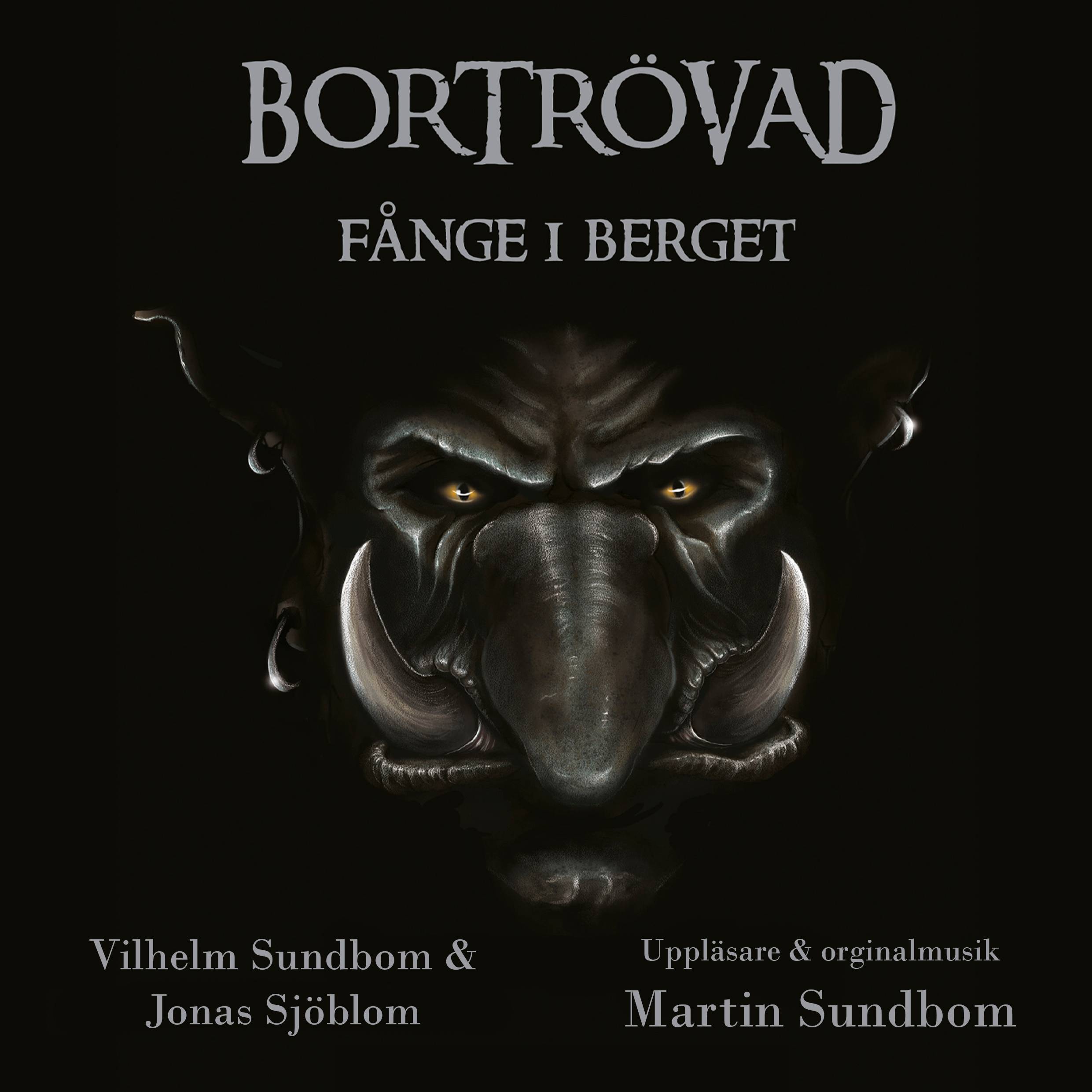 Fånge i berget