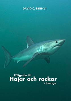 Fältguide till hajar och rockor i Sverige