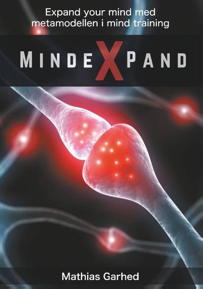 Mindexpand : metamodellen i mind training